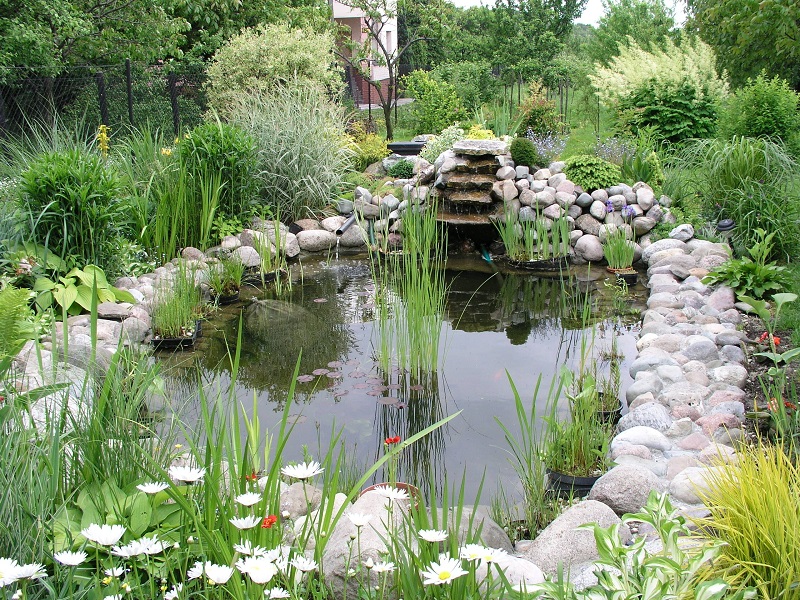 How to make a water garden